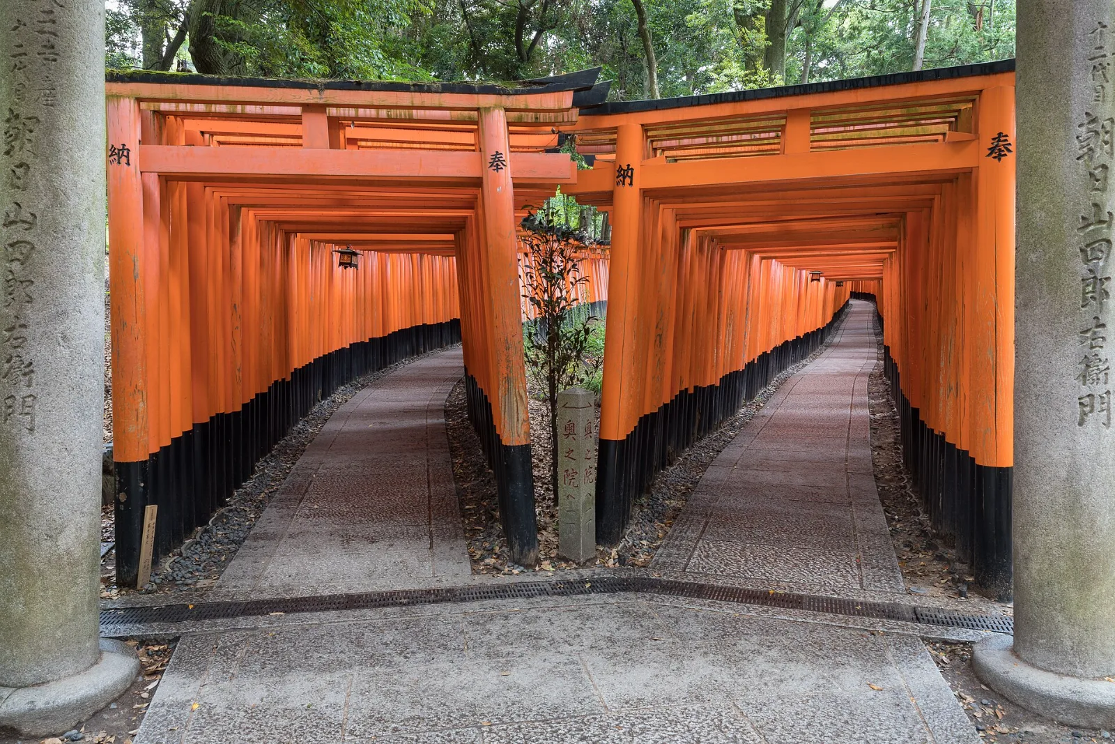 JAPON2