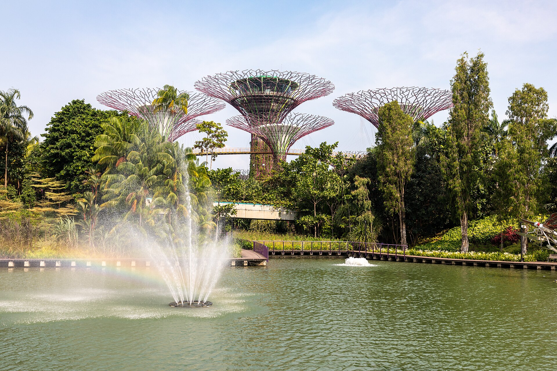 Malezya & Singapur — Gardens by the Bay Supertree Grove